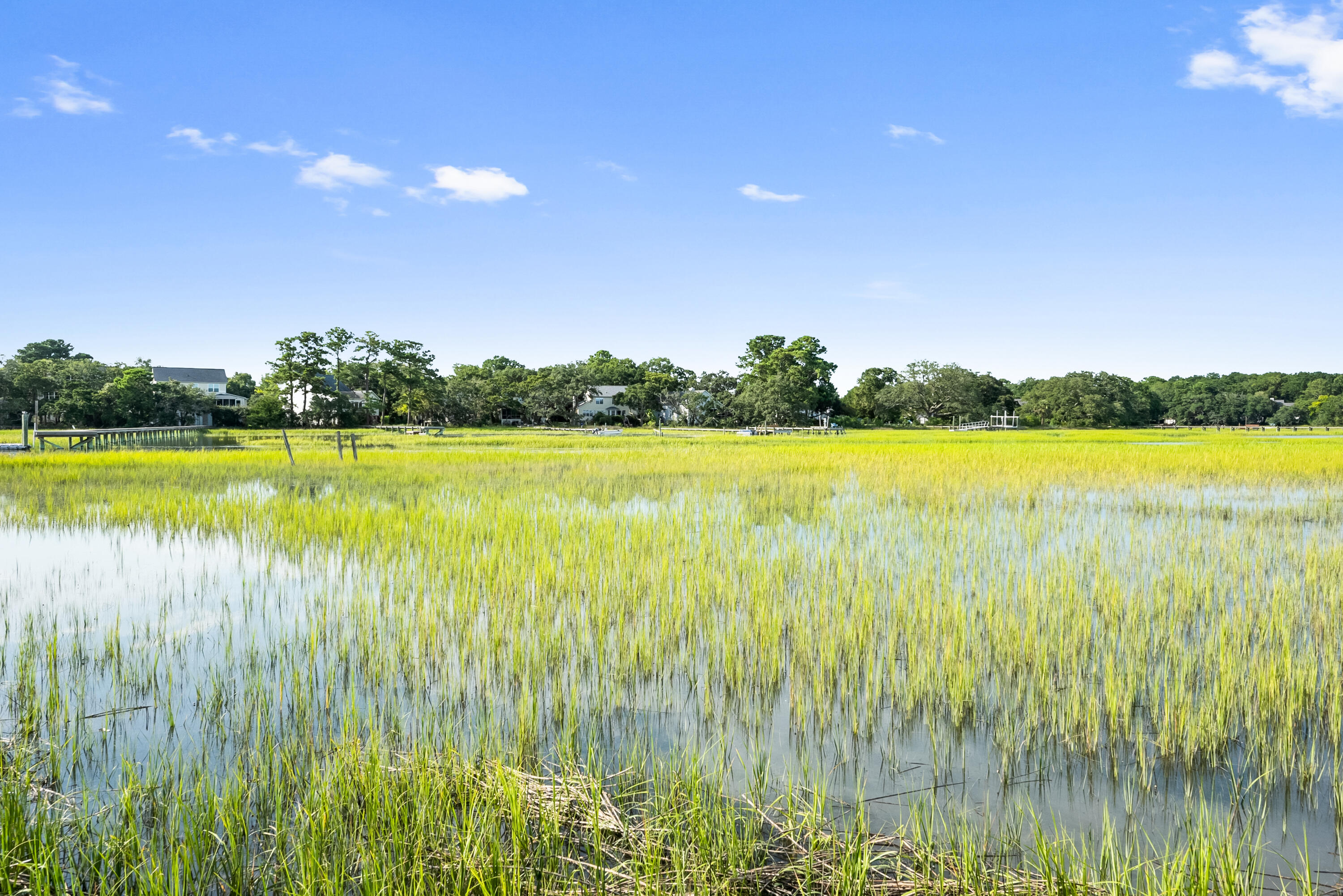 928 West Oceanview Road Charleston, SC 29412 - Photo 75 of 92 DSC_6096