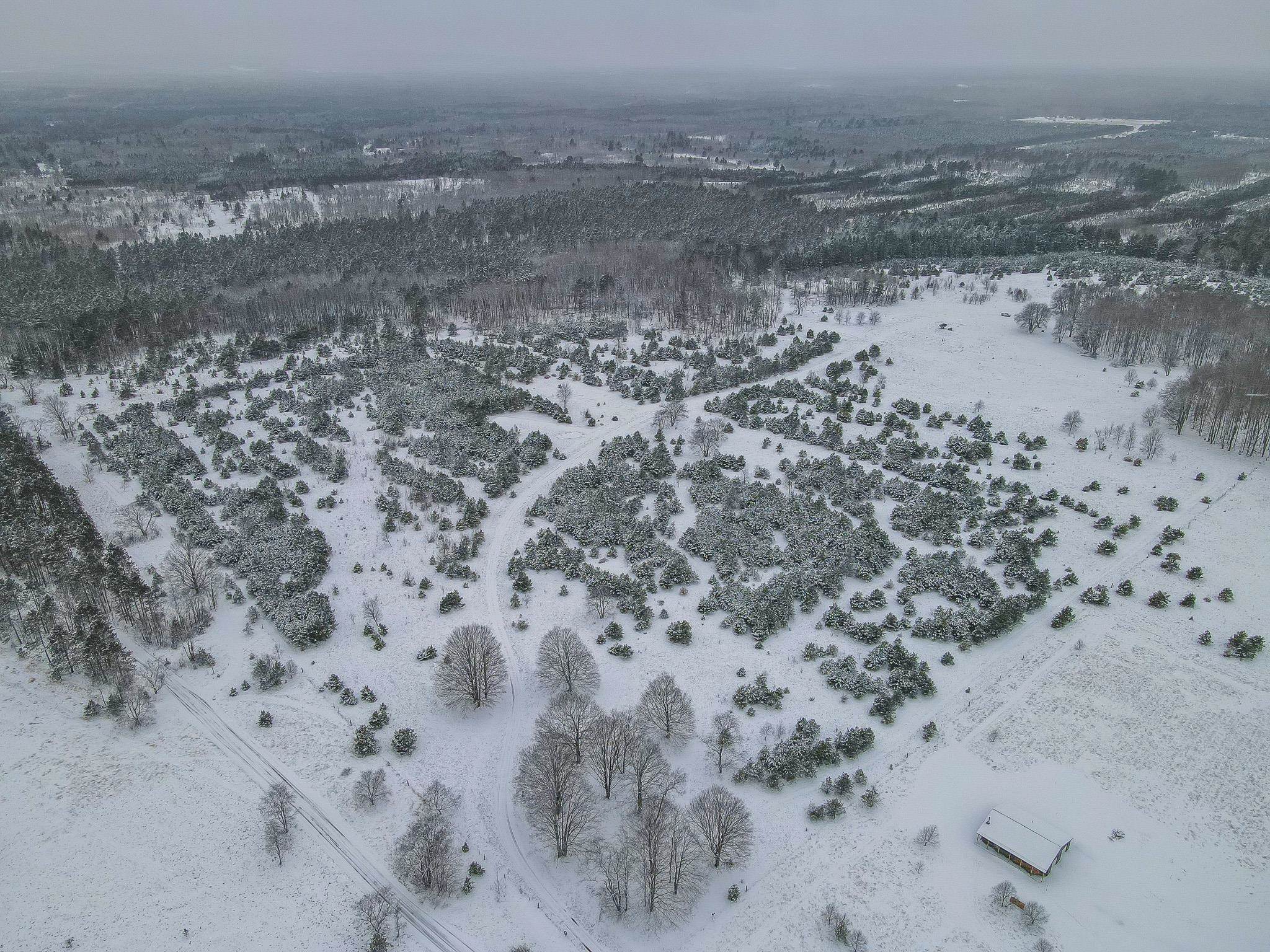 81-acres North 25 Road Buckley, MI 49620 - Photo 11 of 36