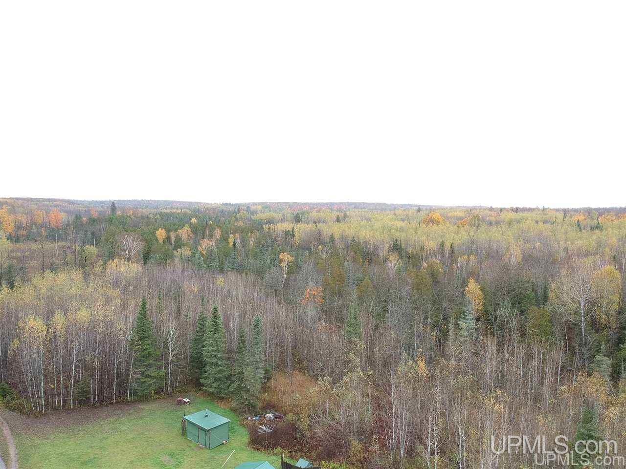 30662 Co Road Cornell, MI 49818 - Photo 35 of 42