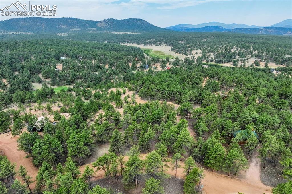 Mountain view featuring trees on 1.13 acres.