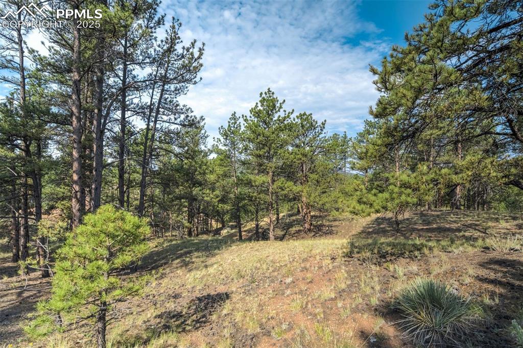 39 Reed Drive Florissant, CO 80816 - Photo 11 of 25