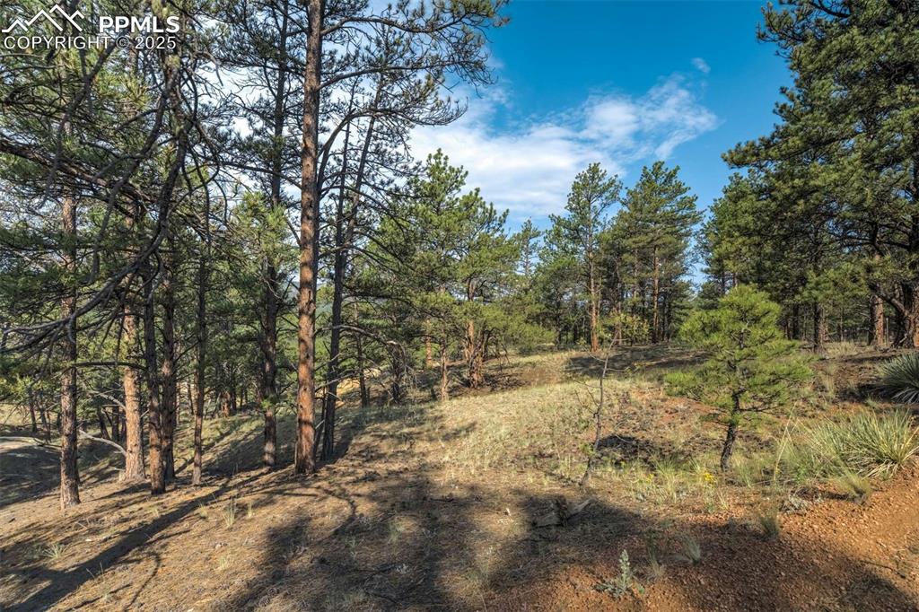 39 Reed Drive Florissant, CO 80816 - Photo 12 of 25 1.13 acres