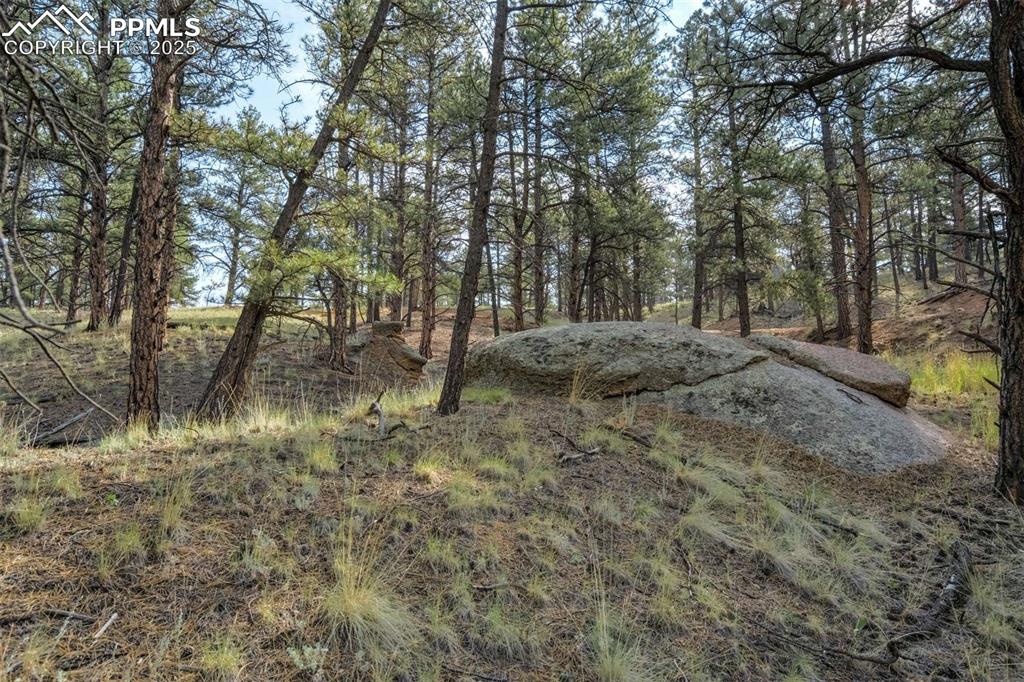 39 Reed Drive Florissant, CO 80816 - Photo 14 of 25