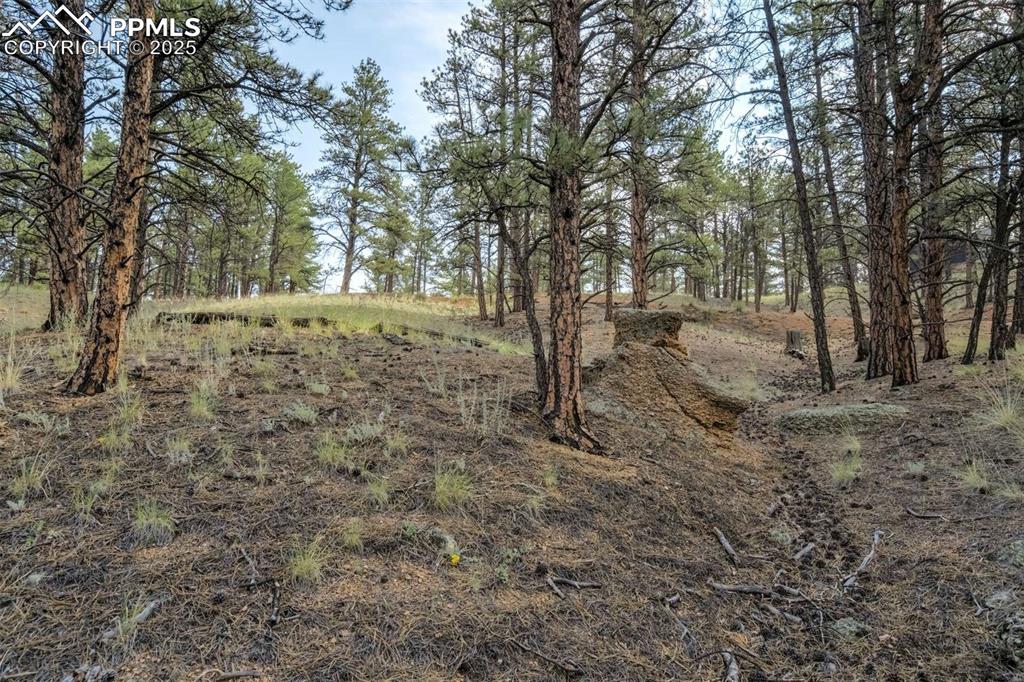 39 Reed Drive Florissant, CO 80816 - Photo 15 of 25