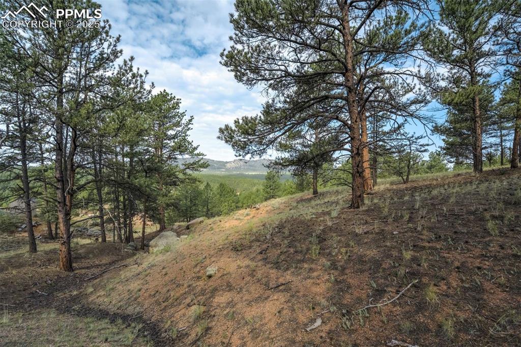 39 Reed Drive Florissant, CO 80816 - Photo 16 of 25