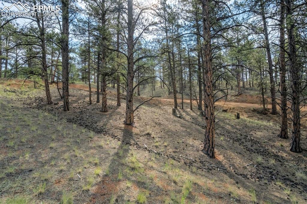 39 Reed Drive Florissant, CO 80816 - Photo 17 of 25