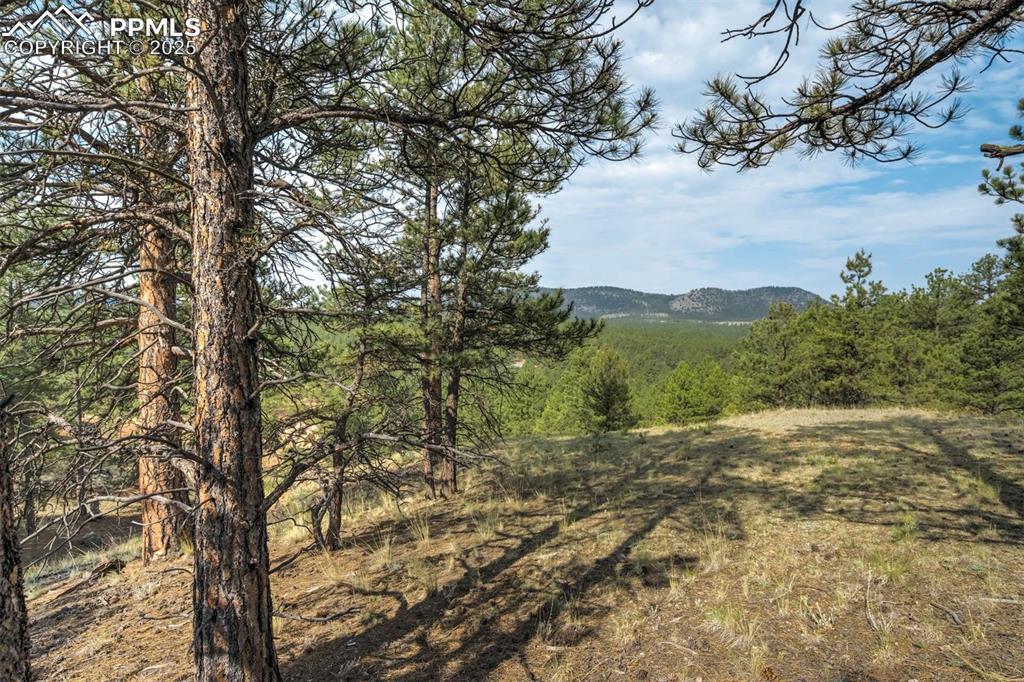 39 Reed Drive Florissant, CO 80816 - Photo 19 of 25