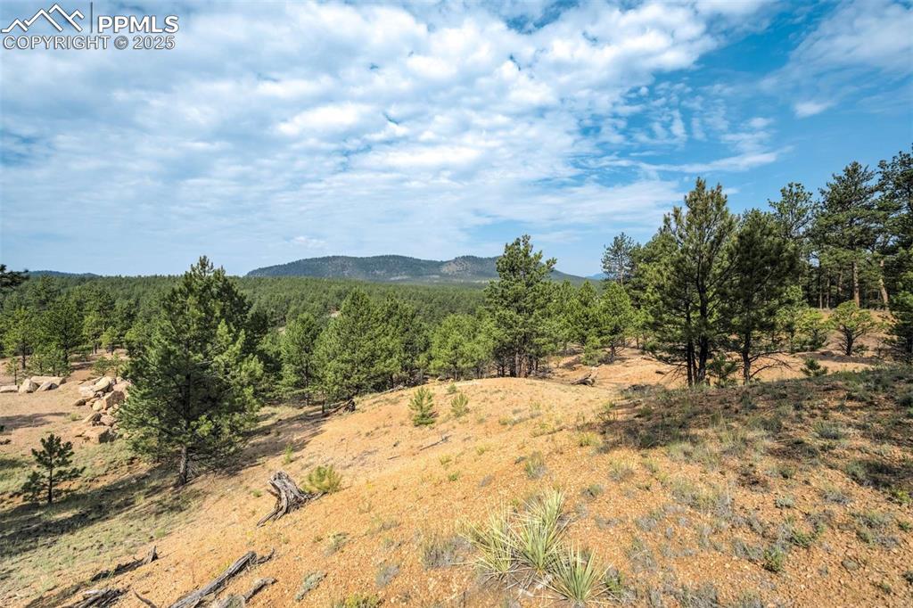 39 Reed Drive Florissant, CO 80816 - Photo 20 of 25