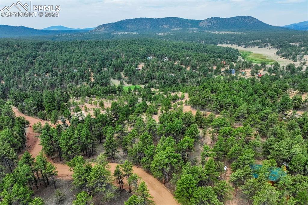 39 Reed Drive Florissant, CO 80816 - Photo 2 of 25 Drone / aerial view of mountains from the property.