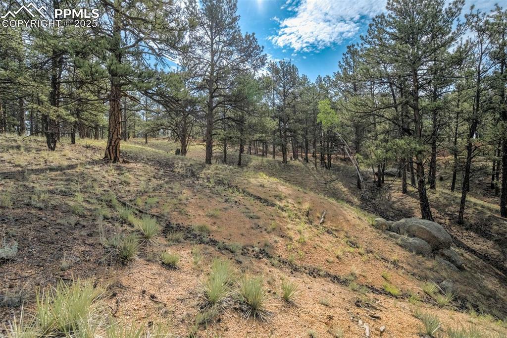 39 Reed Drive Florissant, CO 80816 - Photo 21 of 25