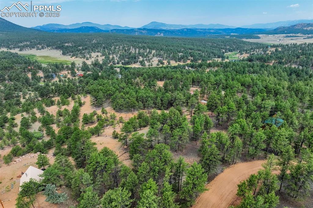 39 Reed Drive Florissant, CO 80816 - Photo 3 of 25 Showing the road and the neighborhood
