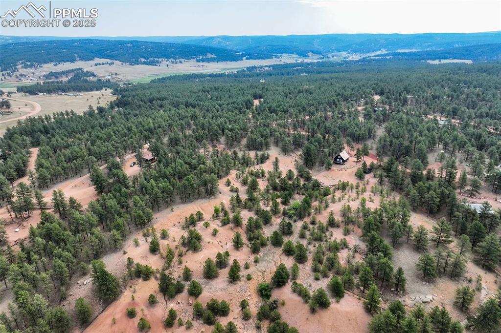 39 Reed Drive Florissant, CO 80816 - Photo 4 of 25