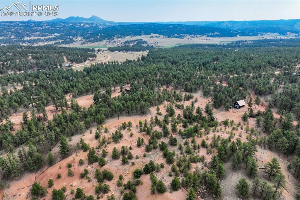 39 Reed Drive Florissant, CO 80816 - Photo 5 of 25 Bird's eye view of the lot and mountains in the distance
