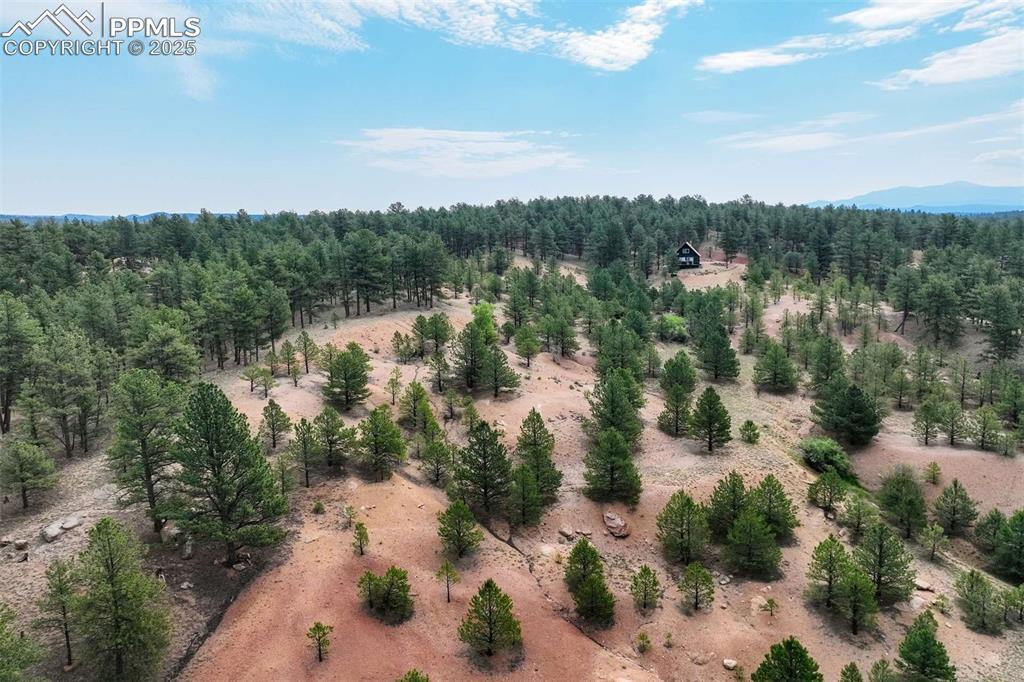 39 Reed Drive Florissant, CO 80816 - Photo 7 of 25