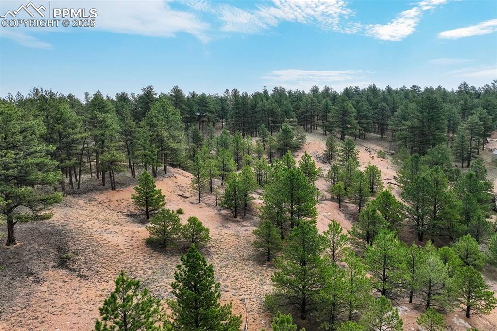 39 Reed Drive Florissant, CO 80816 - Photo 8 of 25