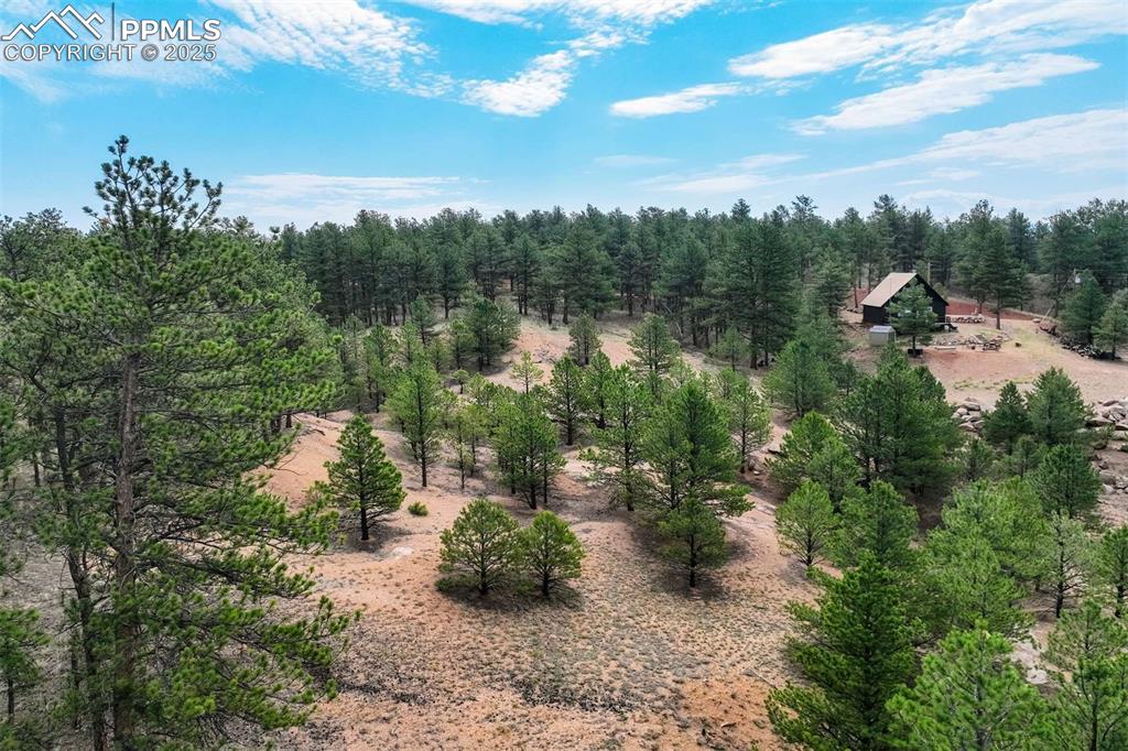 39 Reed Drive Florissant, CO 80816 - Photo 9 of 25 Showing the property.
