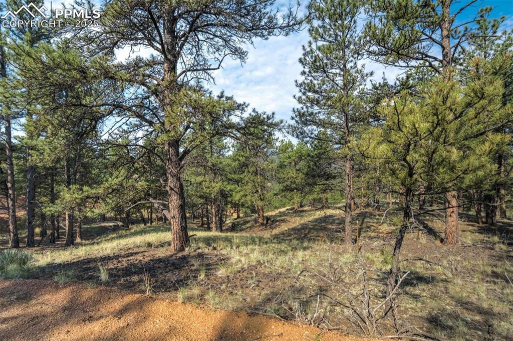 39 Reed Drive Florissant, CO 80816 - Photo 10 of 25 Front of the Property at the road