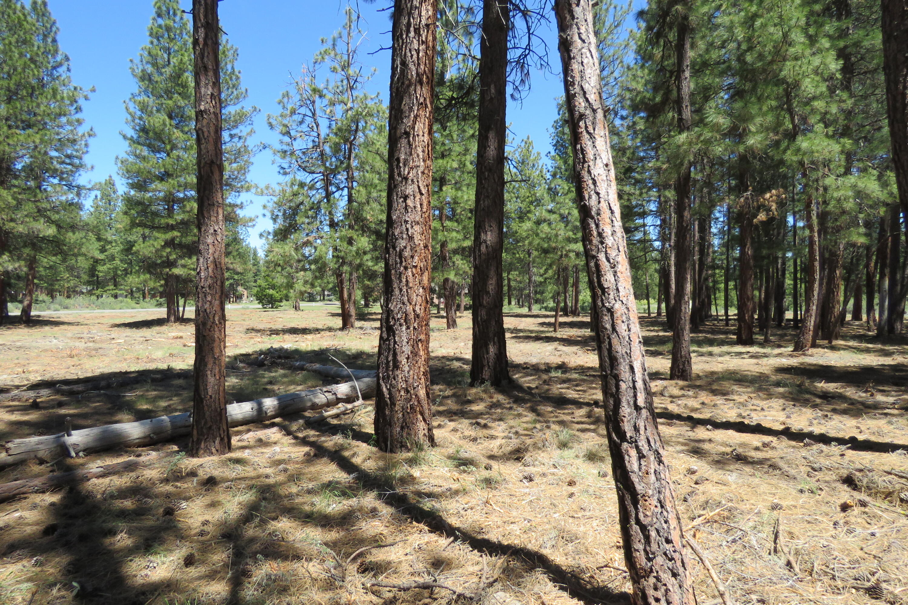 7 Castle Drive Chiloquin, OR 97624 - Photo 25 of 26 IMG_4617