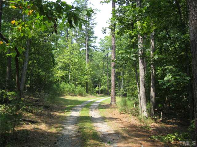 166 Rabbit Run Pittsboro, NC 27312 - Photo 13 of 16 View of the driveway from Rabbit Run.