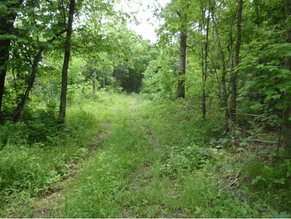 Big Creek Road Shell Knob, MO 65747 - Photo 1 of 1 Primary Photo