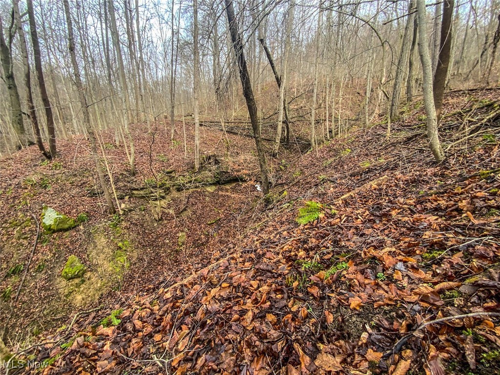 0 New Cut Road Shadyside, OH 43947 - Photo 18 of 37 View of undeveloped land