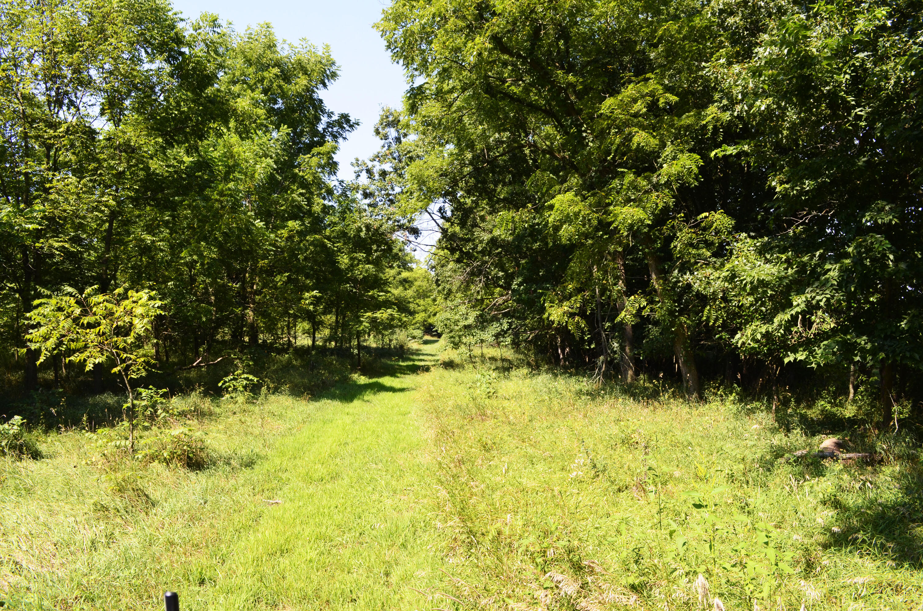 V/l Banker Street Sturgis, MI 49091 - Photo 11 of 46 _DSC0018