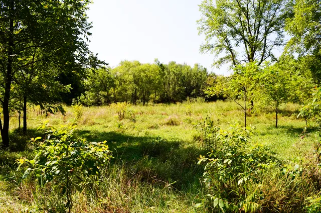 $849,000 | V/l Banker Street, Sturgis, MI 49091