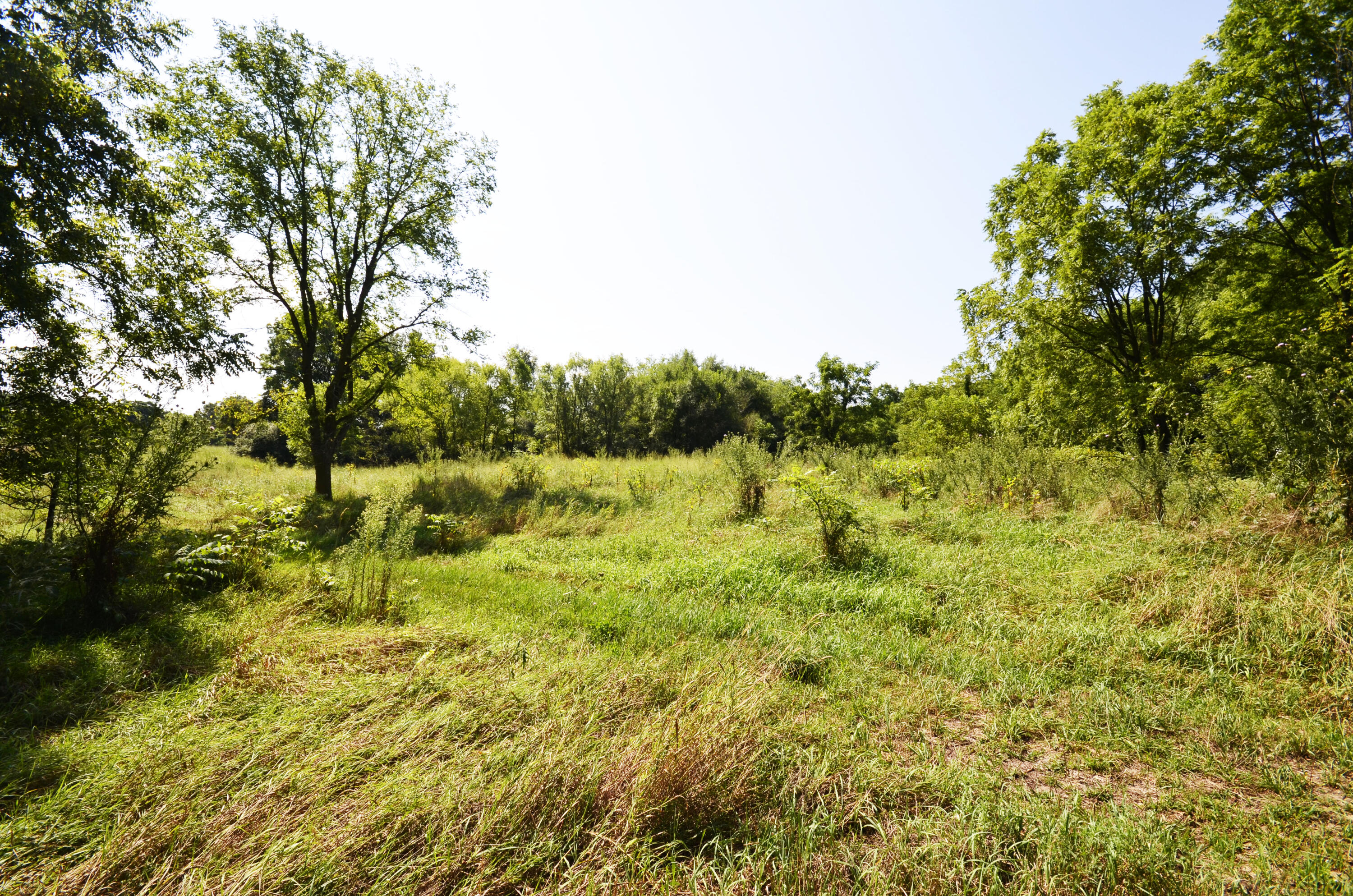 V/l Banker Street Sturgis, MI 49091 - Photo 13 of 46 _DSC0022