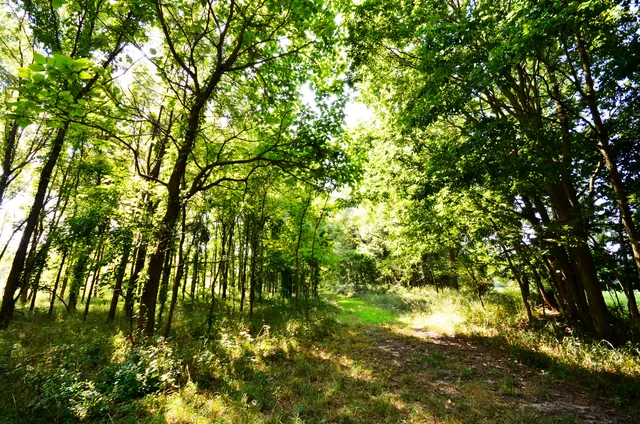 $849,000 | V/l Banker Street, Sturgis, MI 49091