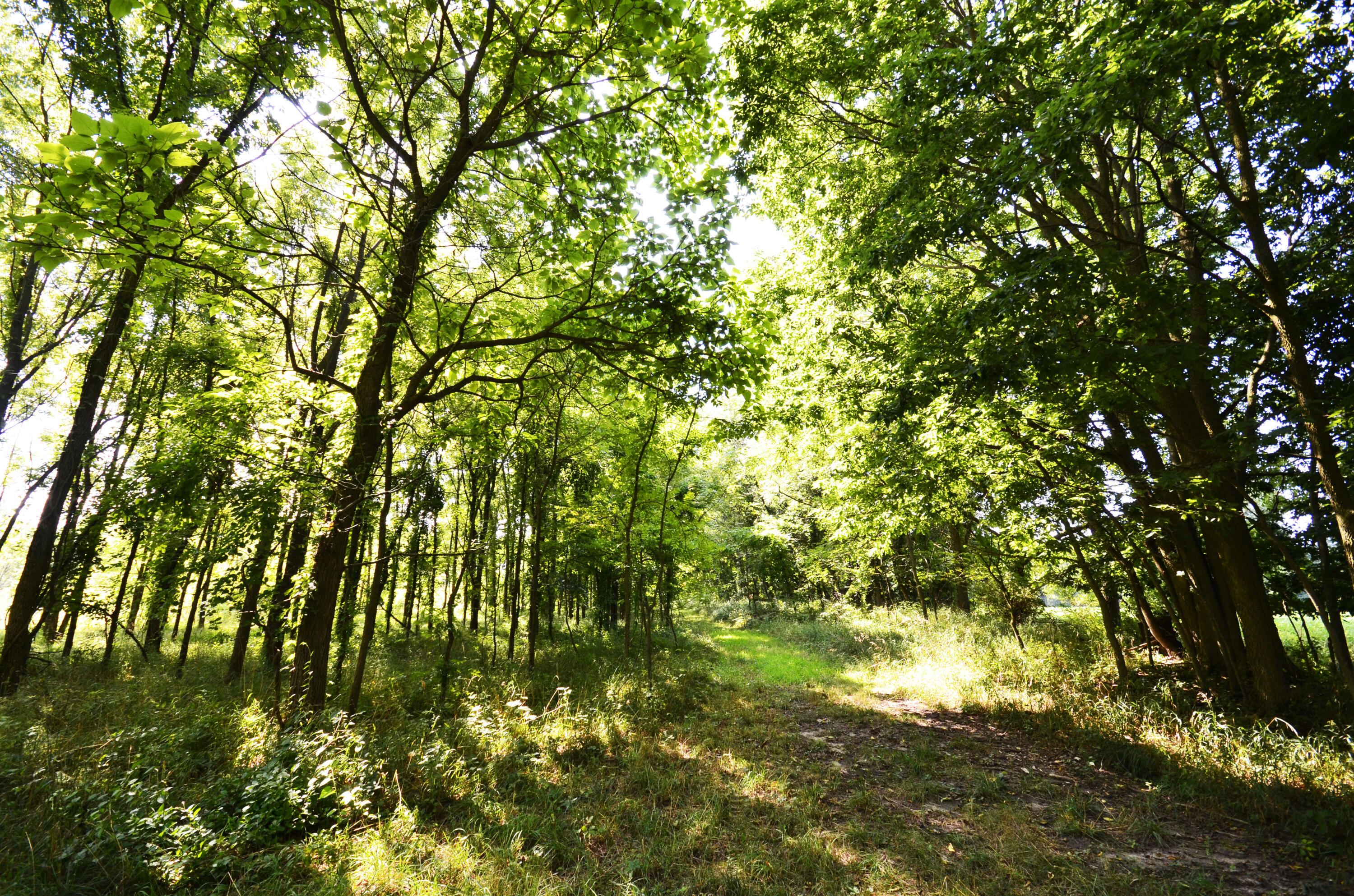 V/l Banker Street Sturgis, MI 49091 - Photo 14 of 46 _DSC0027