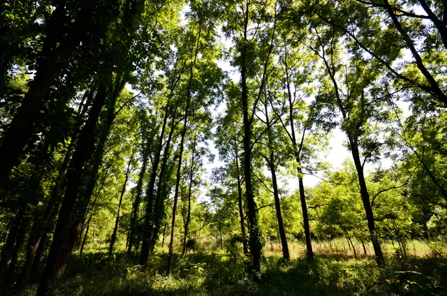 $849,000 | V/l Banker Street, Sturgis, MI 49091