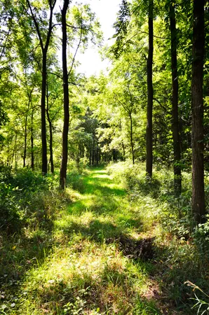 $849,000 | V/l Banker Street, Sturgis, MI 49091