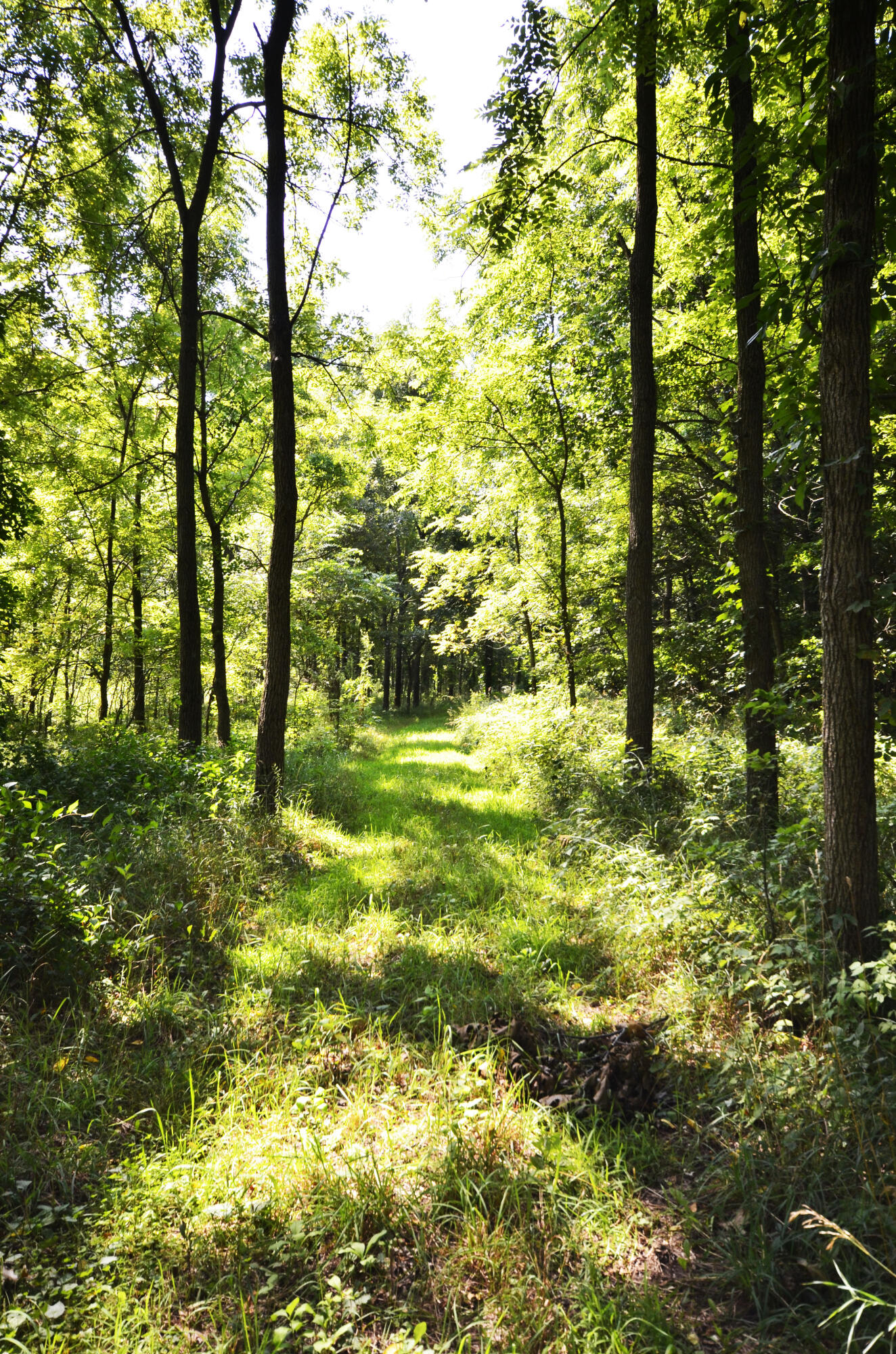V/l Banker Street Sturgis, MI 49091 - Photo 16 of 46 _DSC0031
