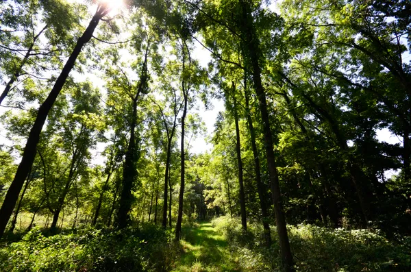 $849,000 | V/l Banker Street, Sturgis, MI 49091