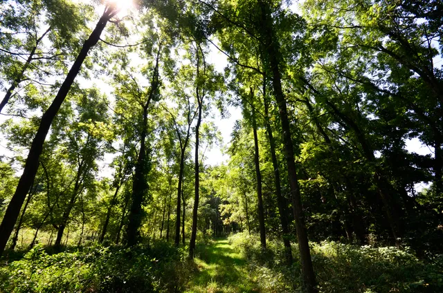 $849,000 | V/l Banker Street, Sturgis, MI 49091