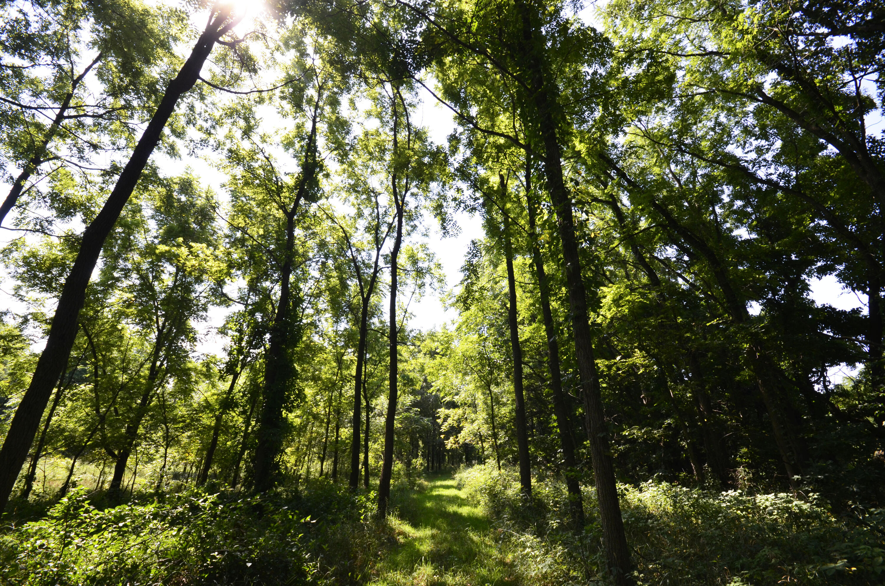 V/l Banker Street Sturgis, MI 49091 - Photo 17 of 46 _DSC0032