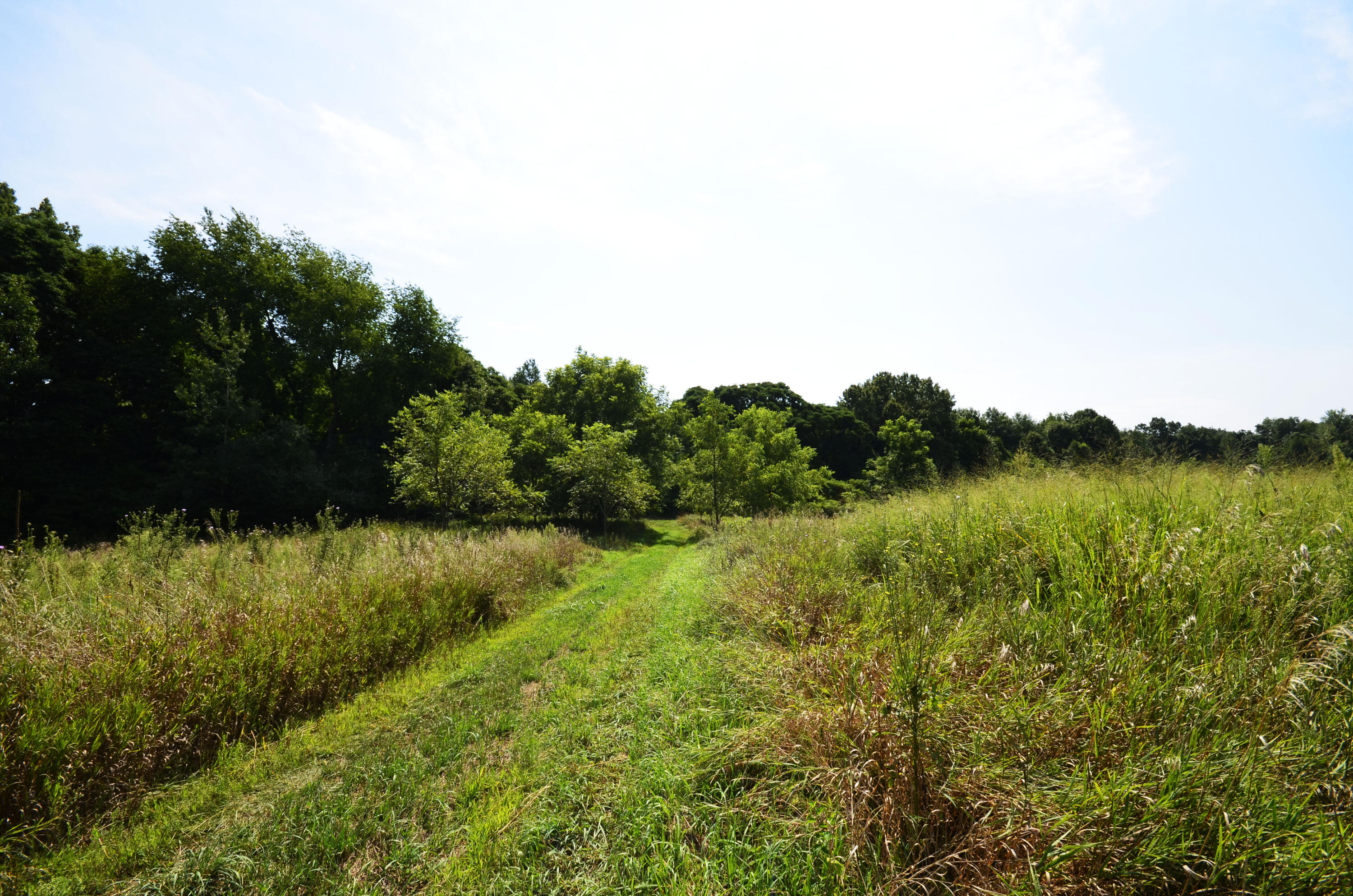 V/l Banker Street Sturgis, MI 49091 - Photo 18 of 46 _DSC0046