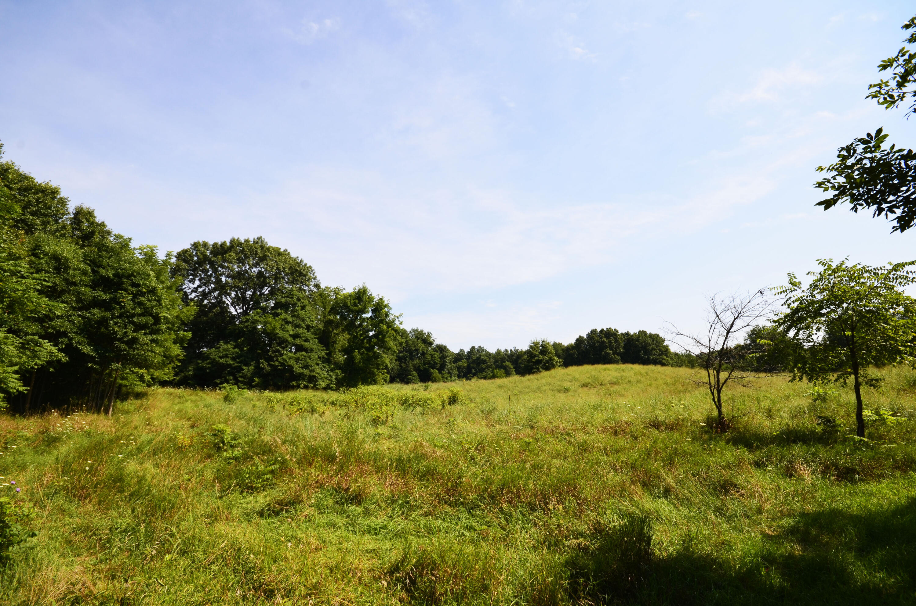 V/l Banker Street Sturgis, MI 49091 - Photo 19 of 46 _DSC0035