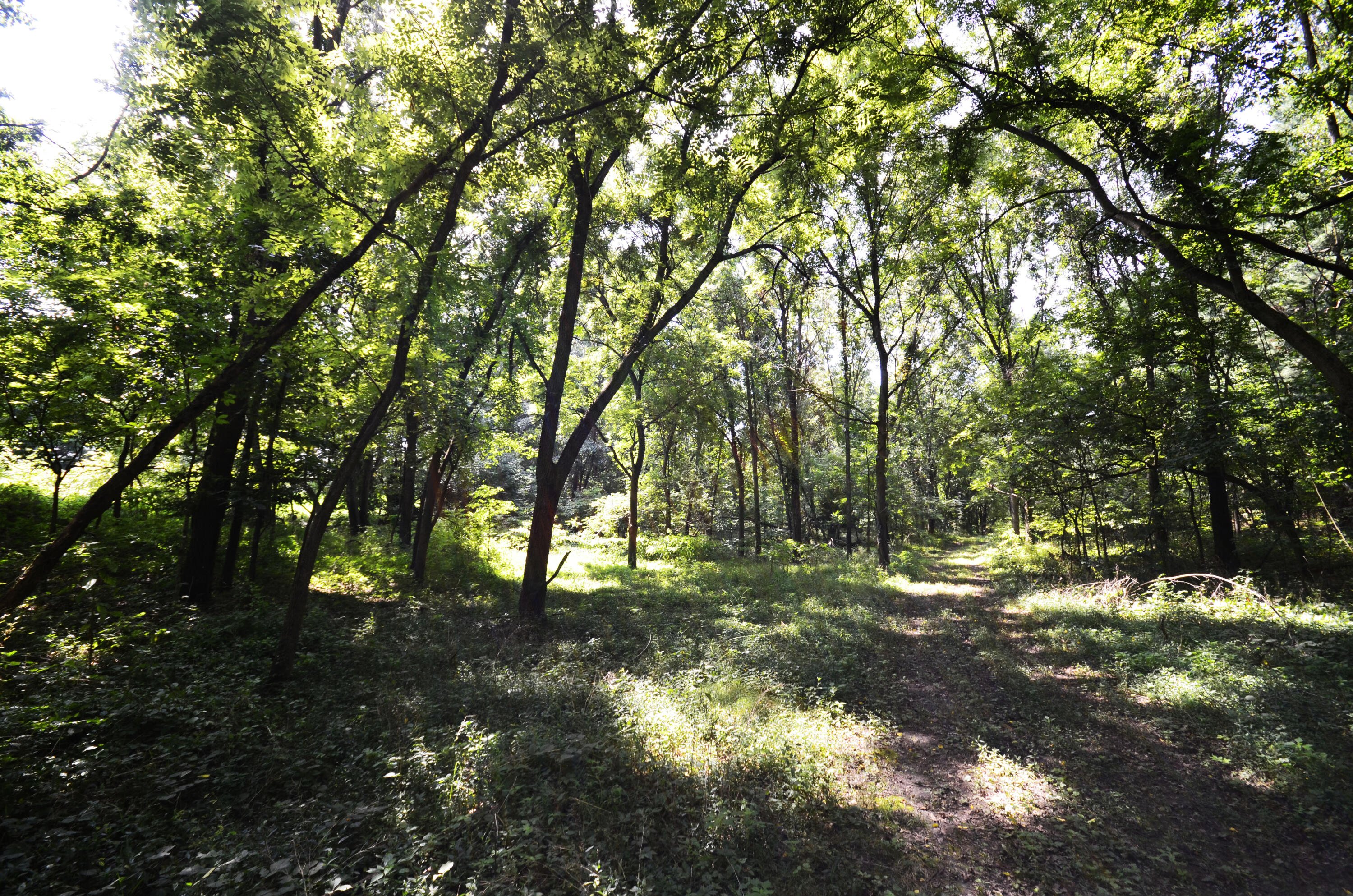 V/l Banker Street Sturgis, MI 49091 - Photo 22 of 46 _DSC0052