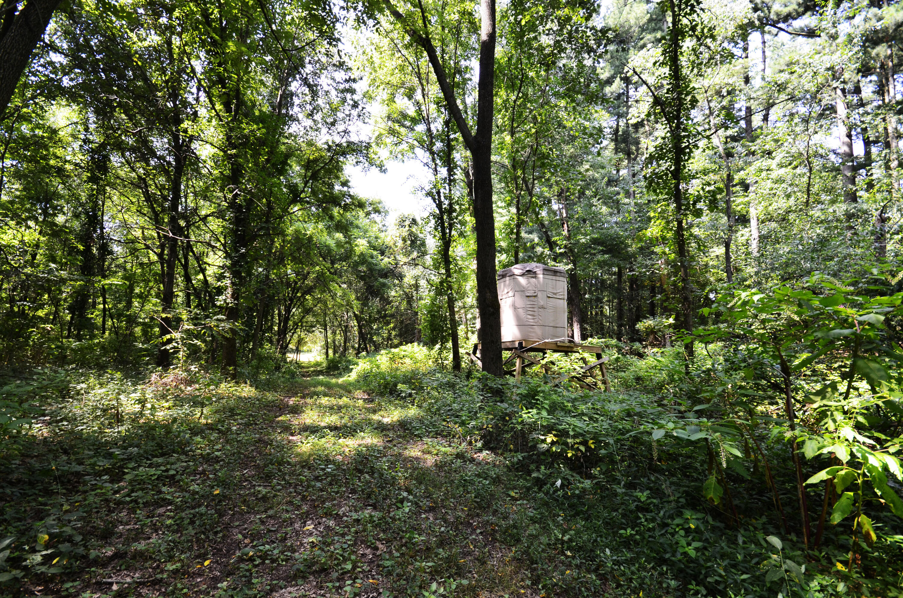V/l Banker Street Sturgis, MI 49091 - Photo 23 of 46 _DSC0053