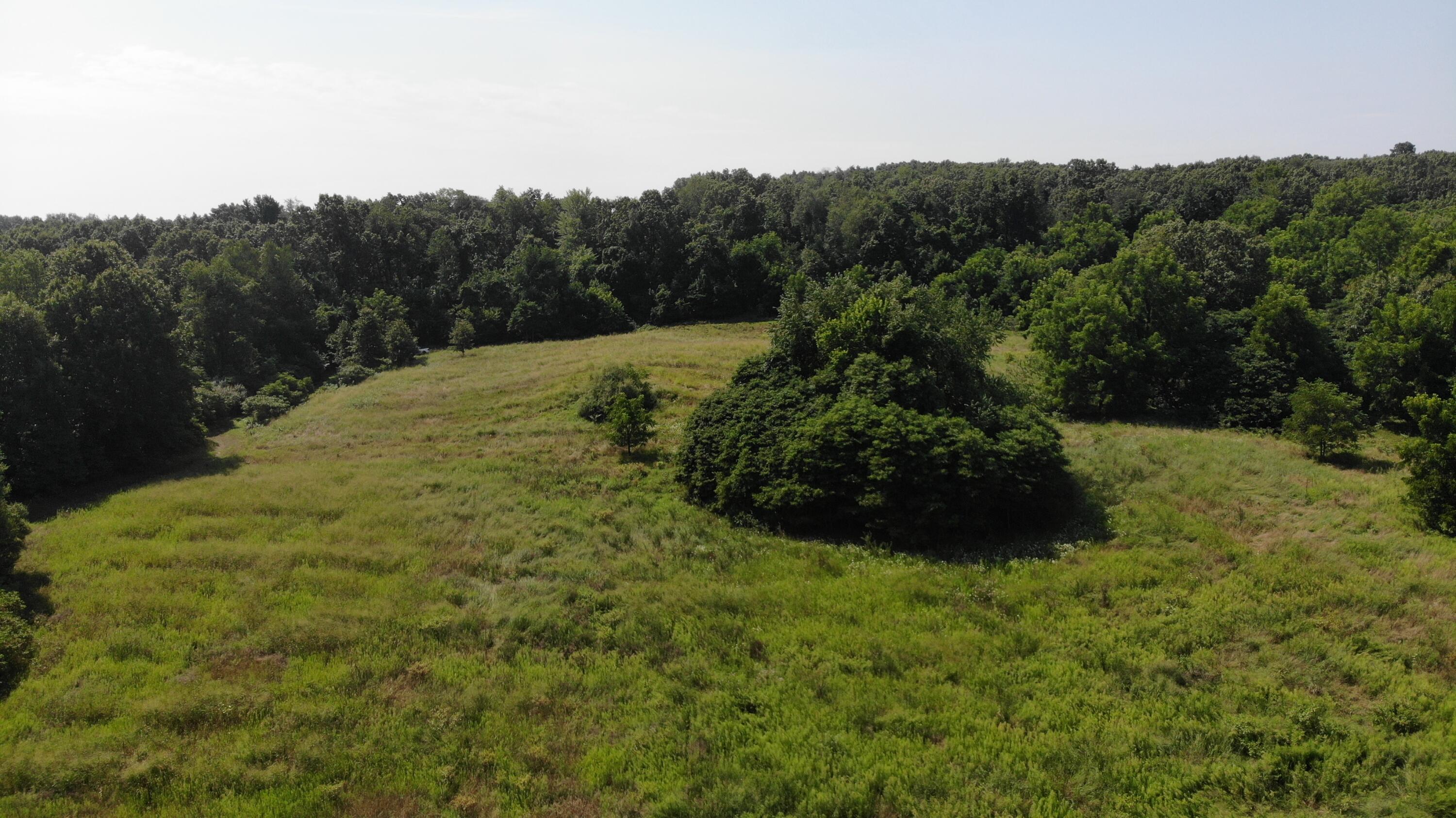 V/l Banker Street Sturgis, MI 49091 - Photo 34 of 46 DJI_0095