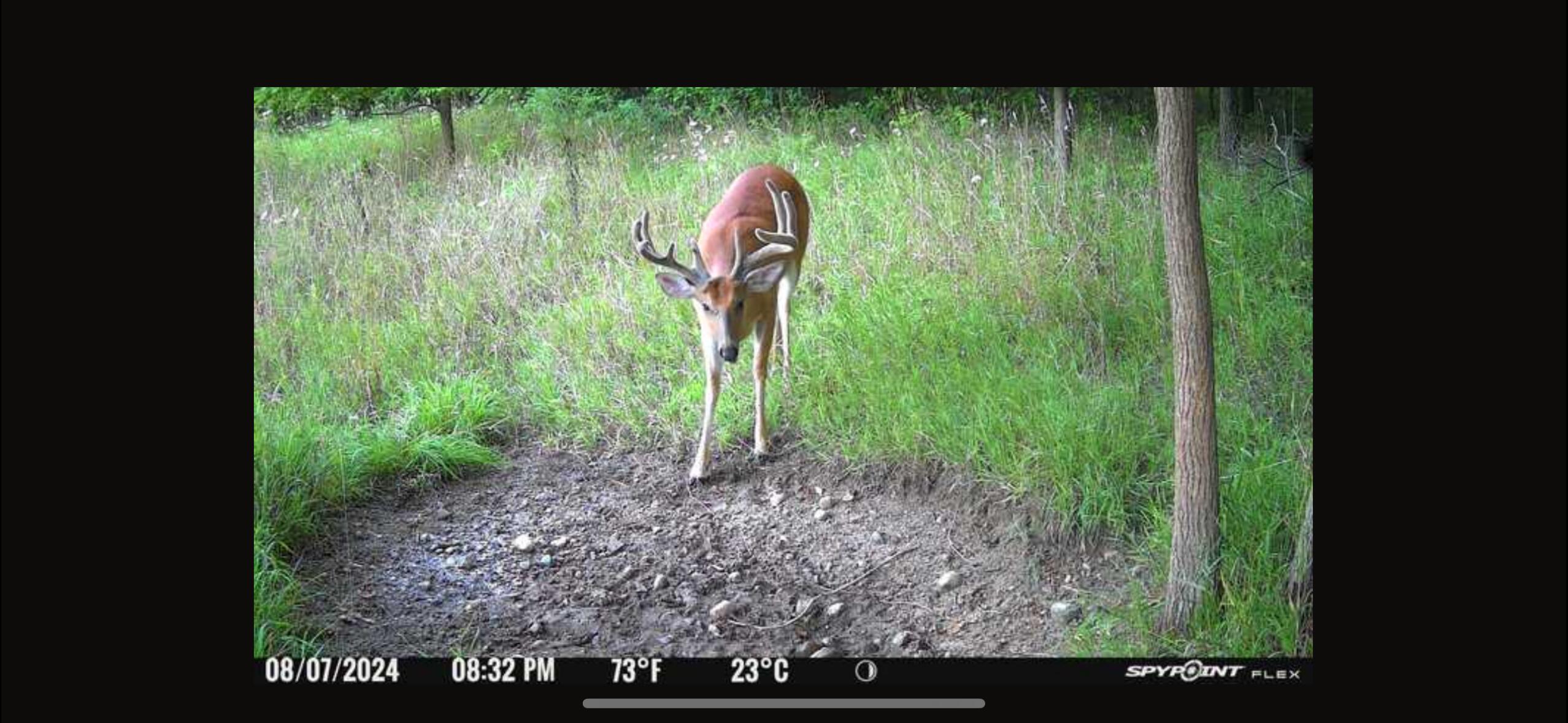 V/l Banker Street Sturgis, MI 49091 - Photo 37 of 46 IMG_6562