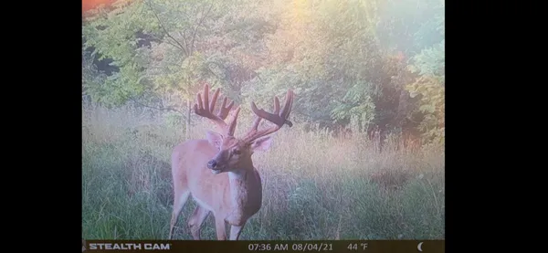 $849,000 | V/l Banker Street, Sturgis, MI 49091