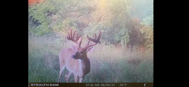 $849,000 | V/l Banker Street, Sturgis, MI 49091