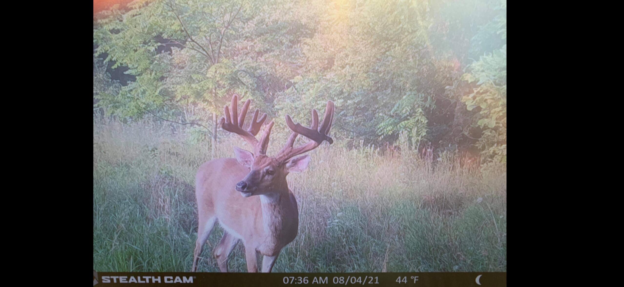 V/l Banker Street Sturgis, MI 49091 - Photo 38 of 46 IMG_6524