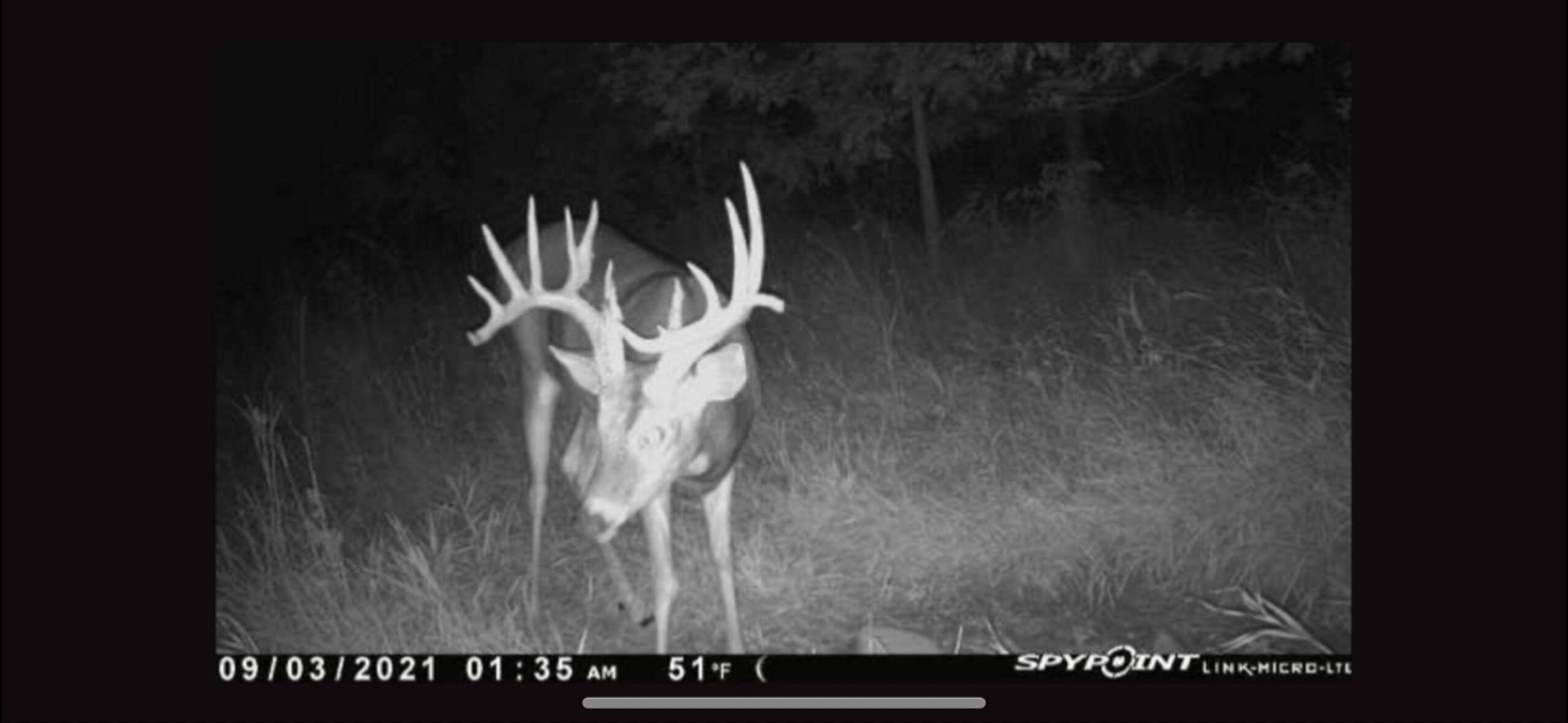 V/l Banker Street Sturgis, MI 49091 - Photo 39 of 46 IMG_6525