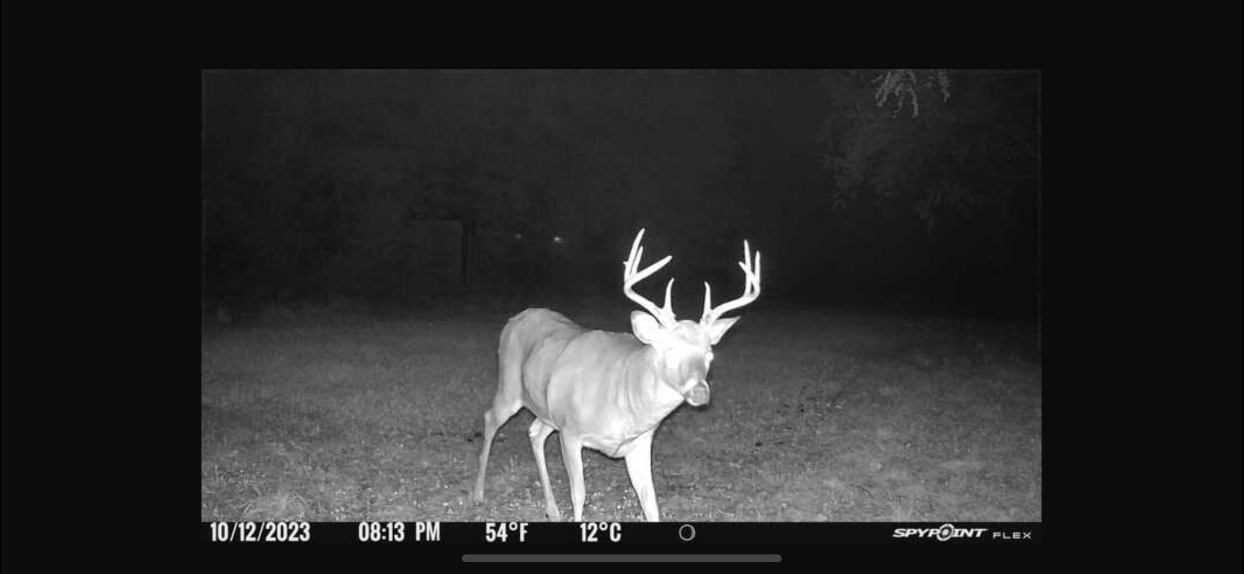 V/l Banker Street Sturgis, MI 49091 - Photo 40 of 46 IMG_6542