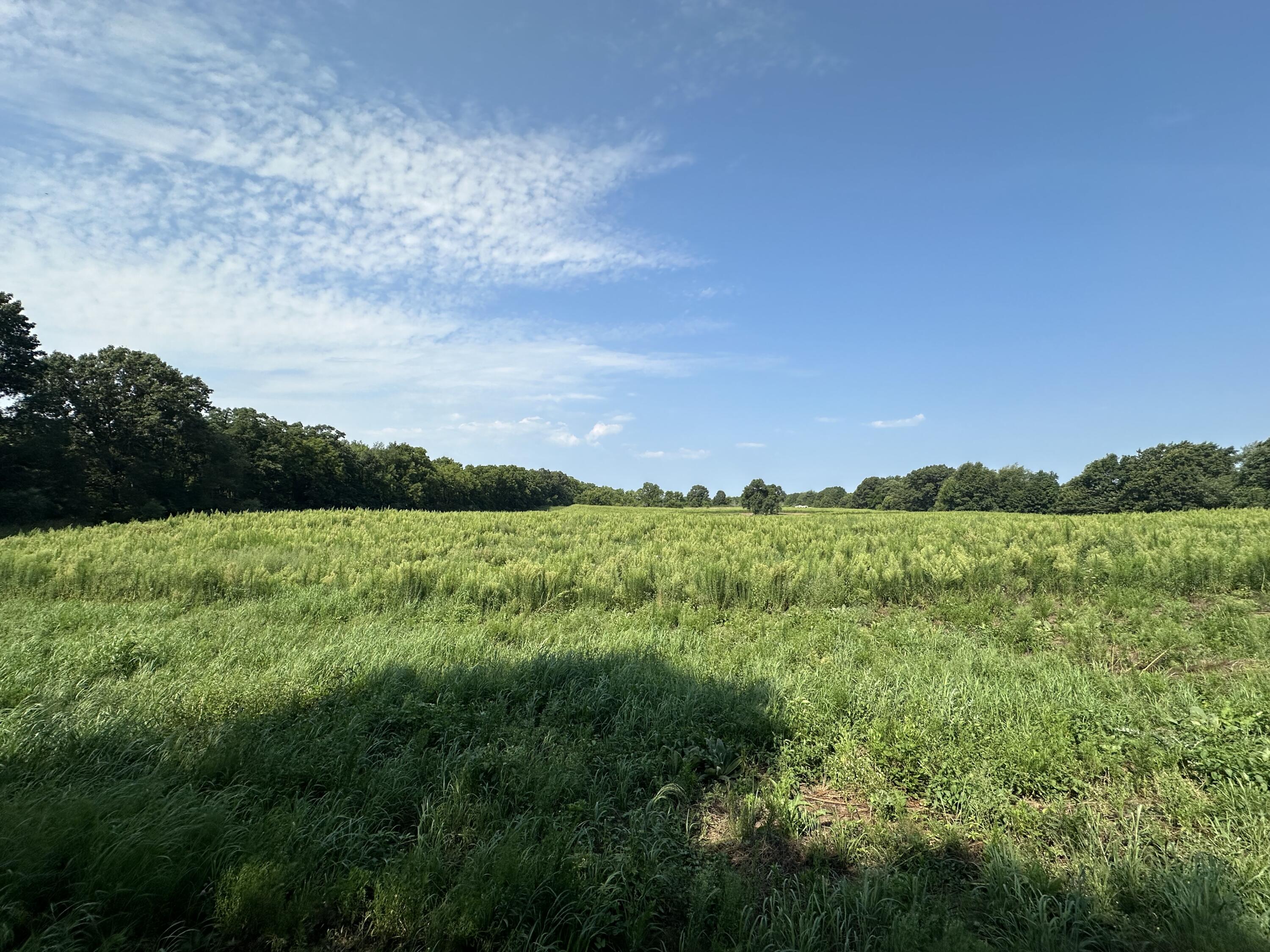 V/l Banker Street Sturgis, MI 49091 - Photo 4 of 46 IMG_4377
