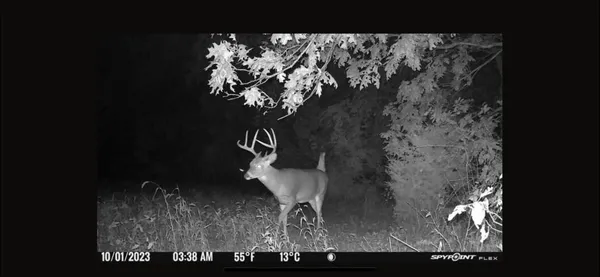 $849,000 | V/l Banker Street, Sturgis, MI 49091