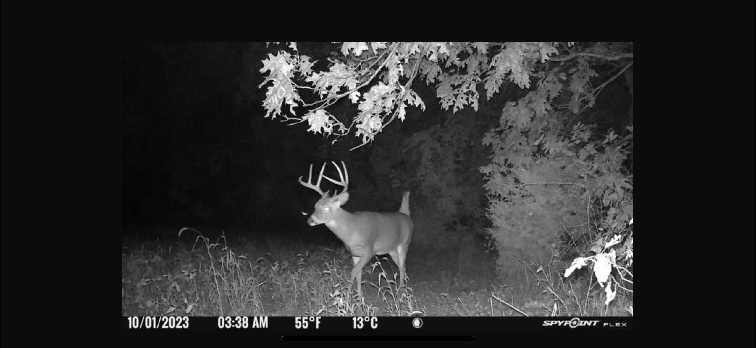 V/l Banker Street Sturgis, MI 49091 - Photo 41 of 46 IMG_6536